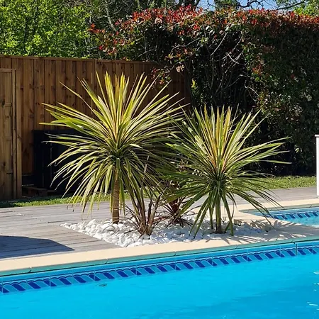 Du Port Дом отдыха *